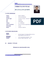 Curriculum Vitae Marco 3