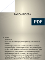 5. PANCA INDERA