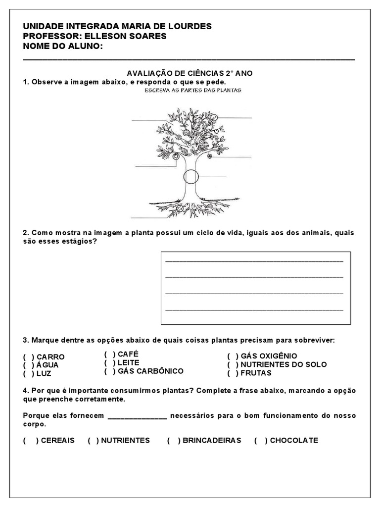 Prova - Ciências - 2° Ano | PDF