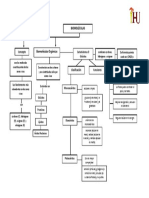 02-Organizador Visual - Biomoléculas