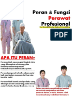 @mumtaz - Peran & Fungsi Perawat Profesional