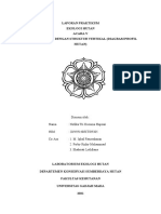 Laporan Praktikum Ekologi Hutan Acara V Deskripsi Hutan Dengan Struktur Vertikal (Diagram Profil Hutan)