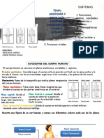 C1 Divisiones Del Cuerpo Humano