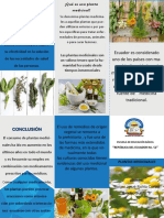 Triptico Plantas Medicinales