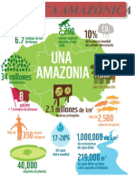 Mapa Mental (Cuenca Amazónica)