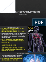 Unidad Vi Aparato Respiratorio para Movil