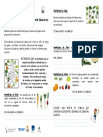 Ficha Hortalizas Por Organo de Consumo para Imprimir