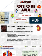 Aula de Biologia - Sistema Excretor