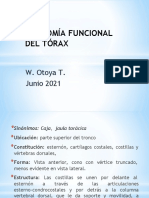 Anatomía Funcional Del Tórax