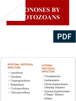 Part 1 Protozoa