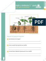 Ciencia, Tecnología y Ambiente 2 Cuaderno de Reforzamiento Pedagógico - JEC-pages-40-48