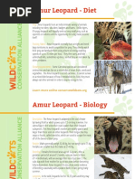 Amur Leopard: Endangerment Explained | PDF | Leopard | Organisms
