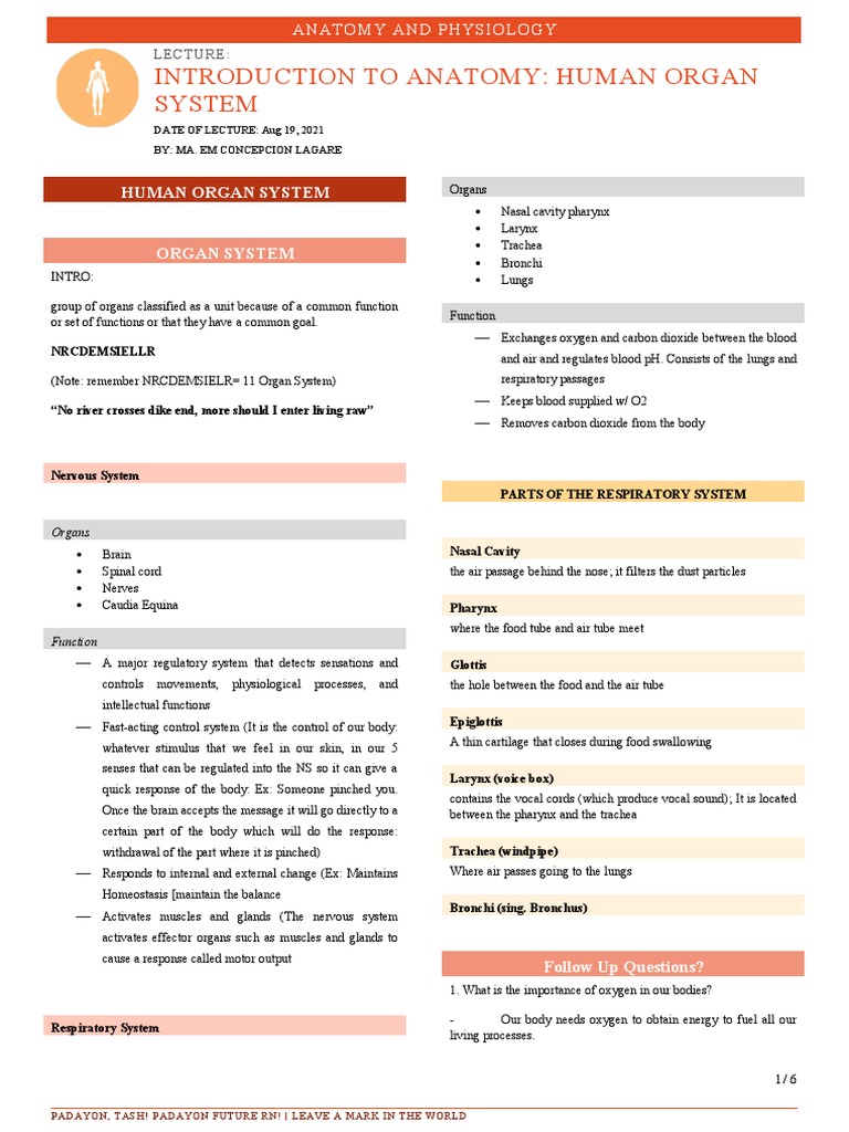 Introduction to Human Organ Systems | PDF | Human Body | Blood Vessel