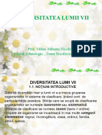 Diversitatea Lumii VII Final Mihai Adriana Nicoleta