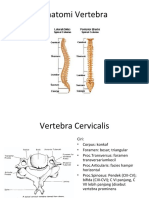 Anatomi Vertebra