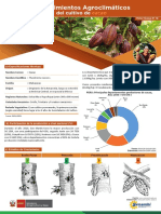 Requerimientos agroclimáticos del cultivo de cacao