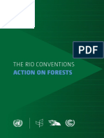 Action On Forests: The Rio Conventions