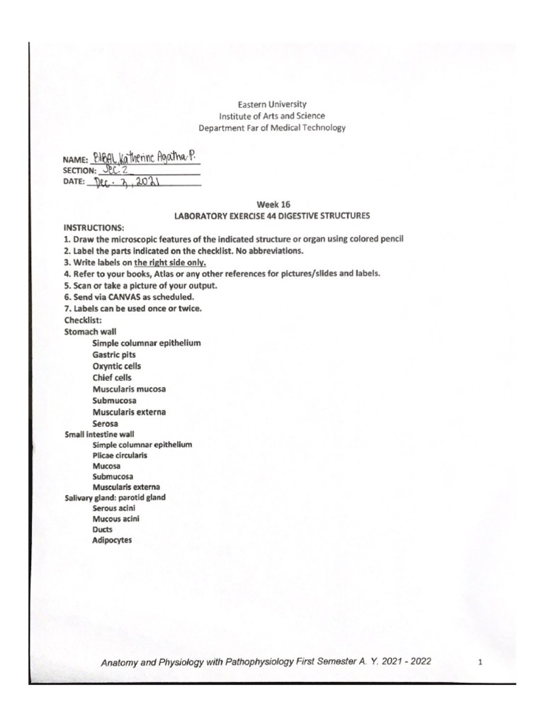 Bibal Laboratory Exercise 44 Digestive Structures PDF