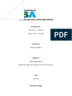 Nuevas Tecnologías Desarrolladas A Partir de Las B