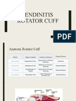 Tendinitis Rotator Cuff