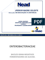 Ead- Enterobacteriaceae(Bacilos Gram-negativos Fermentadores de Glicose)