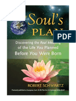 Your Soul's Plan - Robert Schwartz