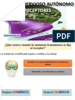 3. Sistema nervioso autonomo y receptores