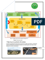 Mapa de Proceso Camposol