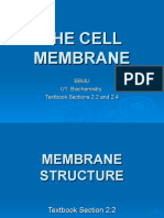 Cell Membrane - Slides