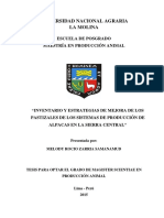 374295401 Inventario y Estrategias de Mejora de Los Pastizales de Los Sistemas de Produccion de Alpacas en La Sierra Central