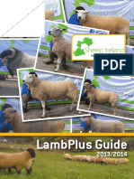 LambPlus guide 2014