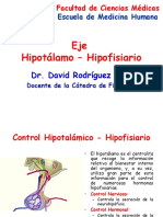 EJE HIPOTALAMO HIPOFISIARIO