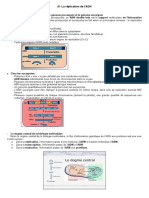 Réplication de l'ADN 2°LMD Génétique