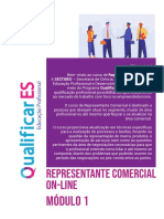 Representante Comercial M1