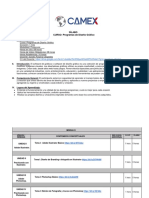 Sílabo Programas de Diseño Gráfico Programa Experto