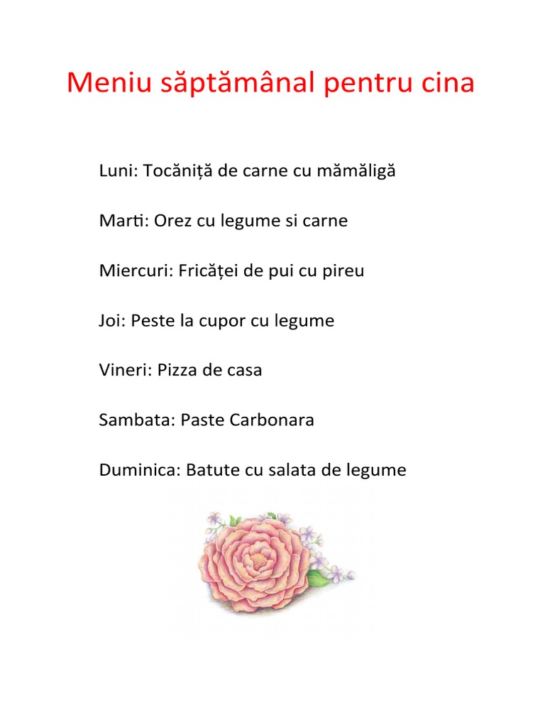 Meniu | PDF