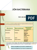 CLASE 7 - Nutrición Microbiana