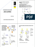 14 e 15 Slides-Metabolismo Dos Nucleotideos-2015
