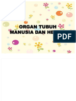 PDF Presentasi Ipa Kelas V Organ Pernapasan Pada Manusia Compress
