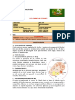 Ciclo Menstrual