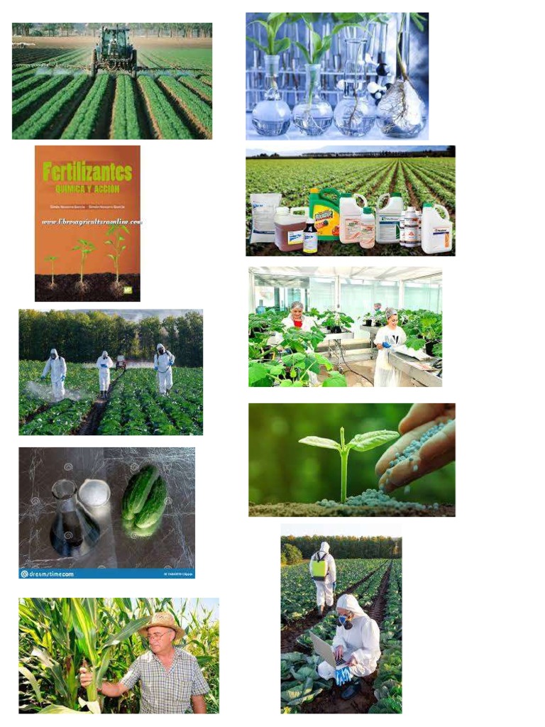 Quimica en La Agricultura | PDF