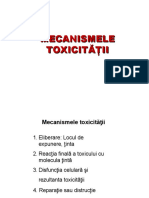 Mecanismele toxicitatii