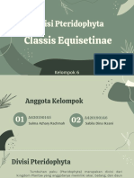 Kelompok+6 Classis+Equisetinae-1
