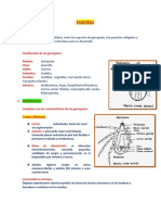 EXODIDES