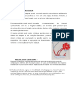 Processos de fracionamento e mistura de magmas