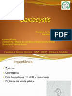 Sarcocystis - 13 - MAIO - 2021