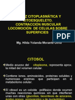 Matriz Citoplasmática y Citoesqueleto 2016