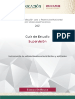 Guia Supervision PH 2021 (2)