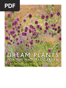 Dream Plants For The Natural Garden - Piet Oudolf