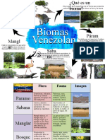 Biomas Venezolanos